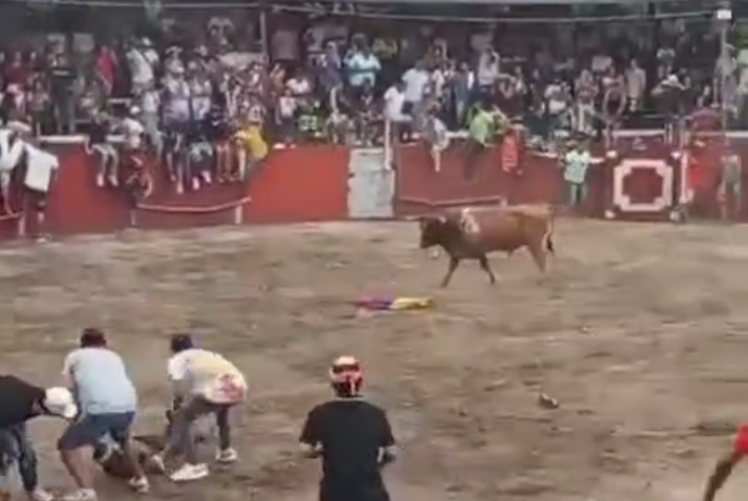 Corralejas Guamo