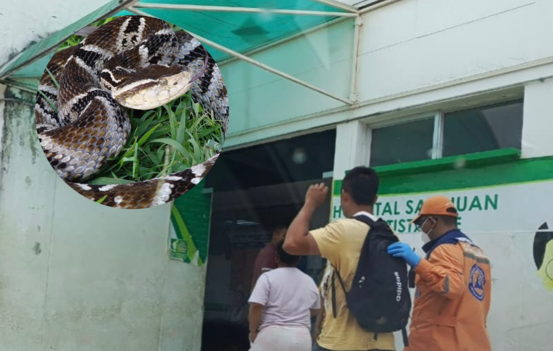 Serpiente
