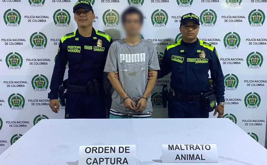 Alias Pitbull