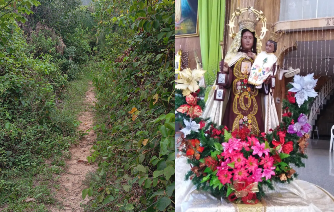 virgen del carmen