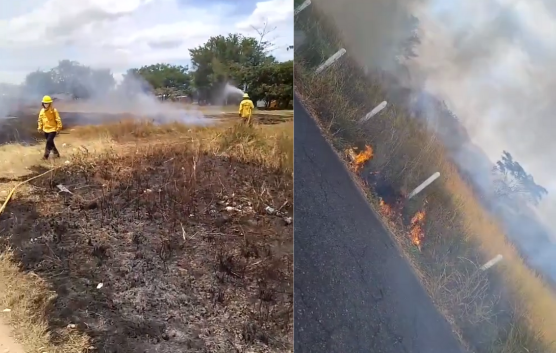 Incendios forestales