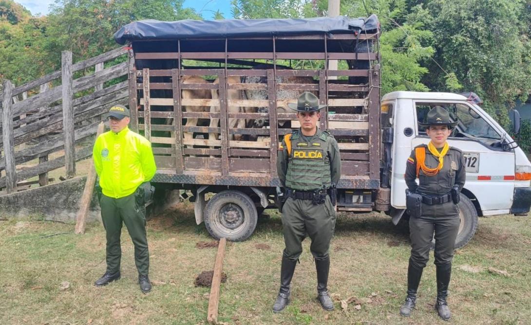Ganado recuperado