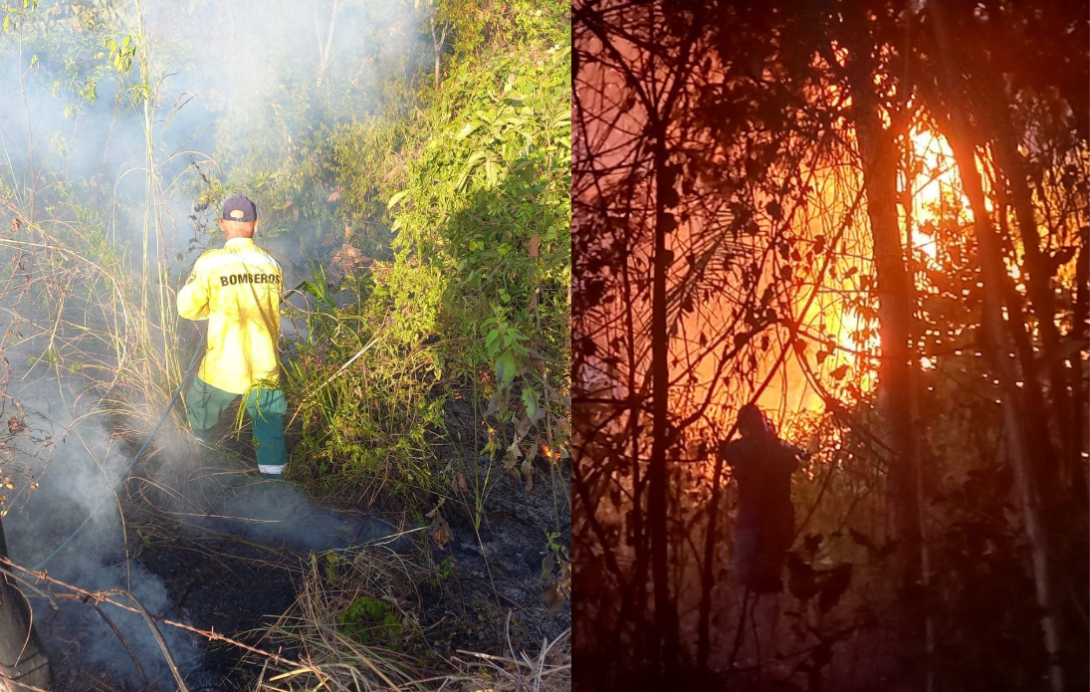 Incendios forestales San Luis