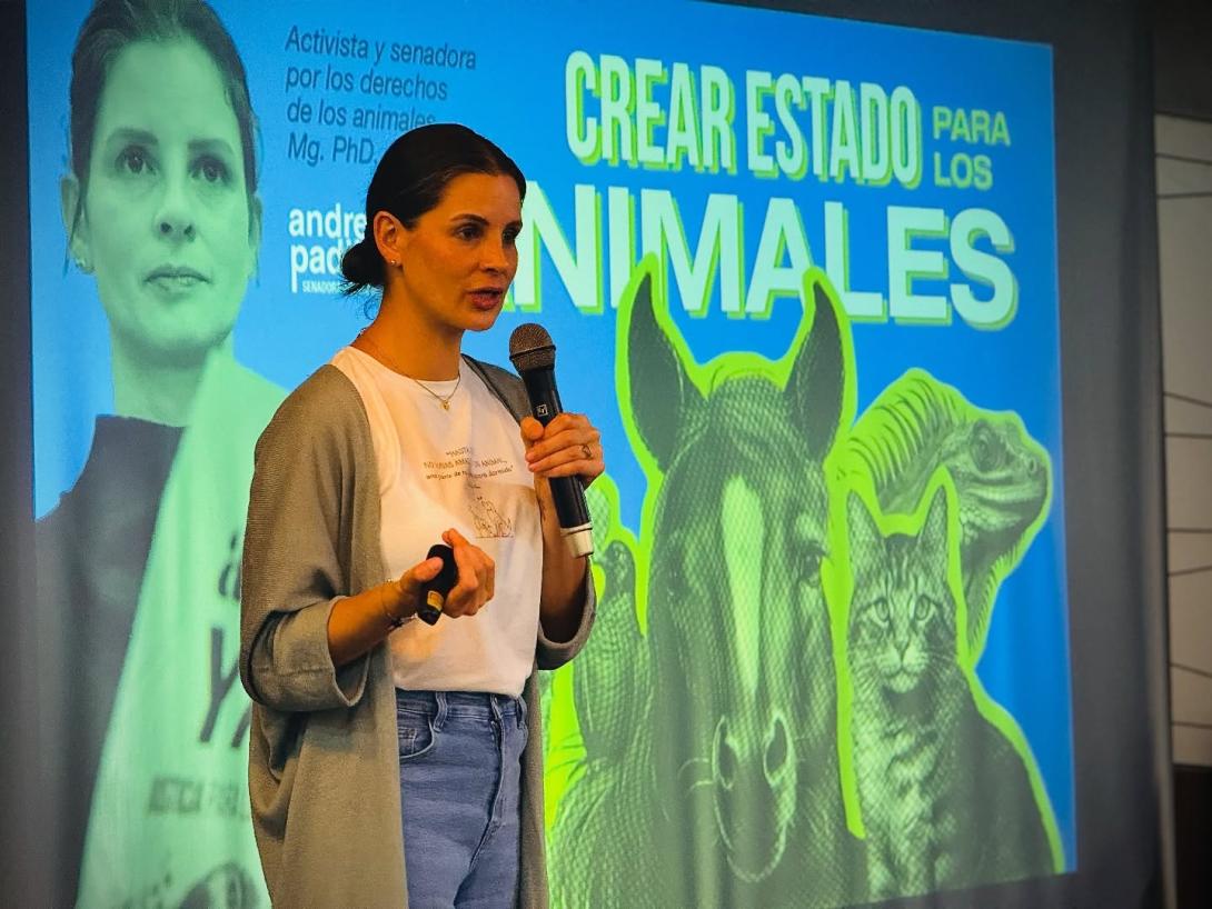 Personas