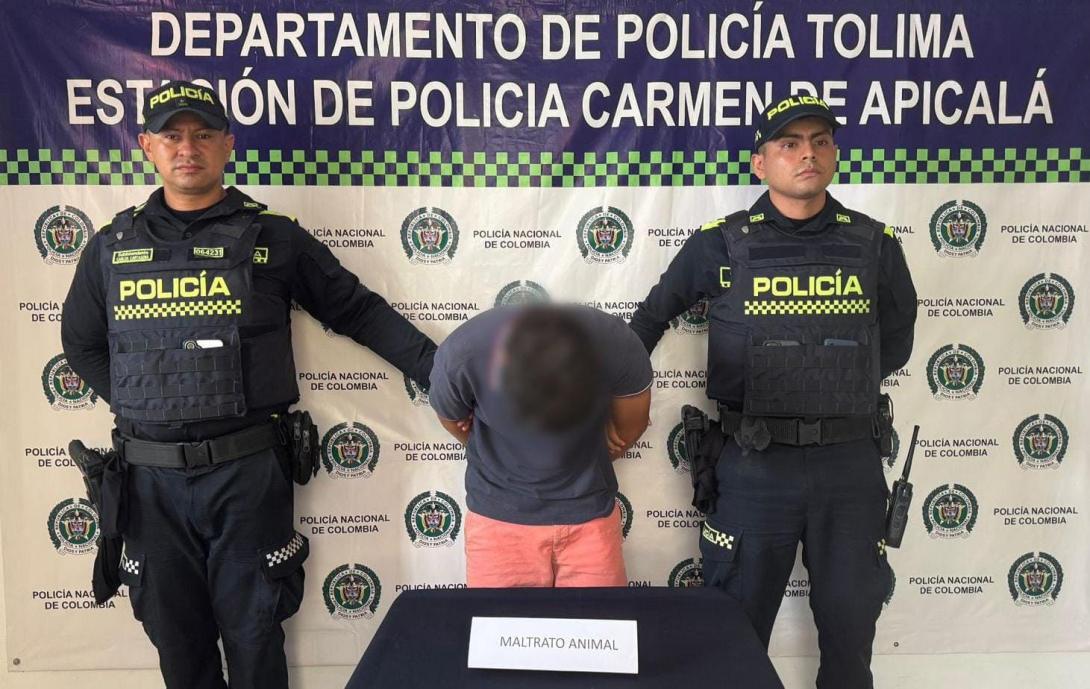 Maltrato animal