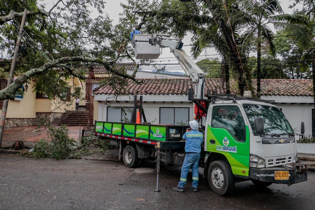 Actividades de recuperación. 