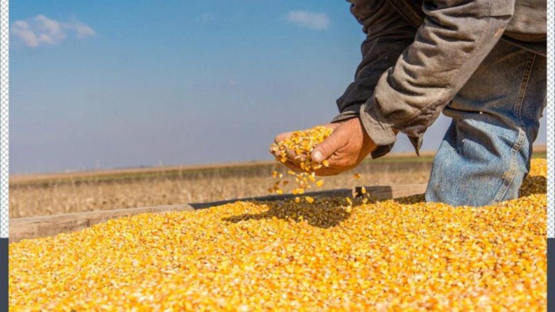 Los volúmenes de exportación son reducidos, esta cifra evidencia que el país cuenta con oportunidades de crecimiento que requieren del desarrollo de estrategias que fortalezcan la tecnificación del campo.
