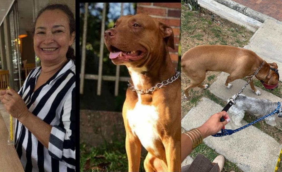 Desaparecida con mascotas