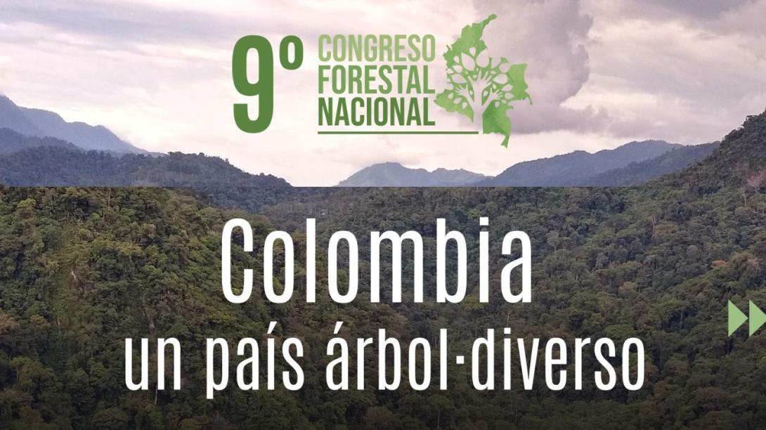 9no congreso forestal nacional