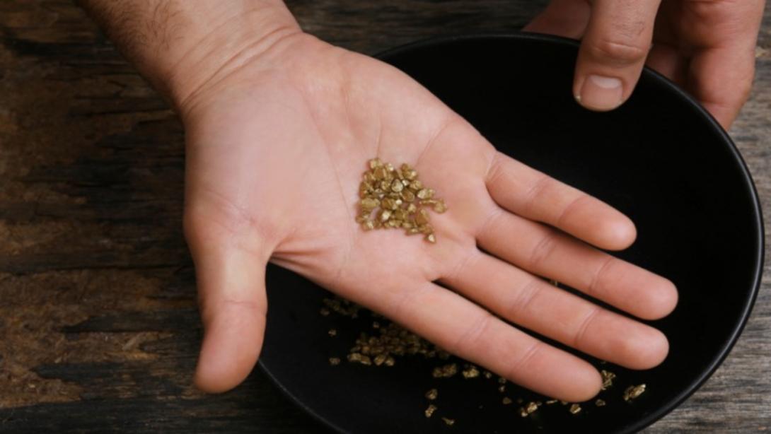 Las autoridades y organizaciones convocadas acordaron trabajar de inmediato con comunidades que ya tienen iniciativas de desarrollo sostenible, fortalecer alternativas económicas distintas a la minería ilegal.