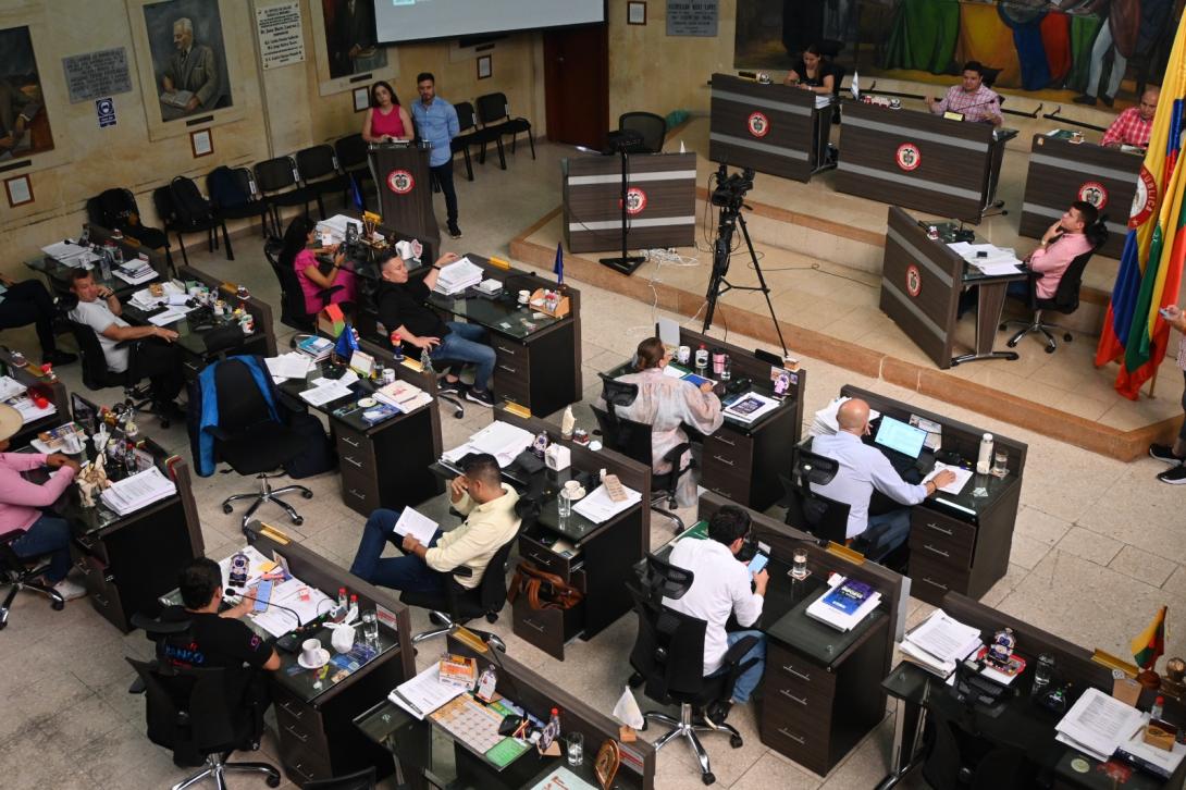 concejo municipal de Ibagué. 