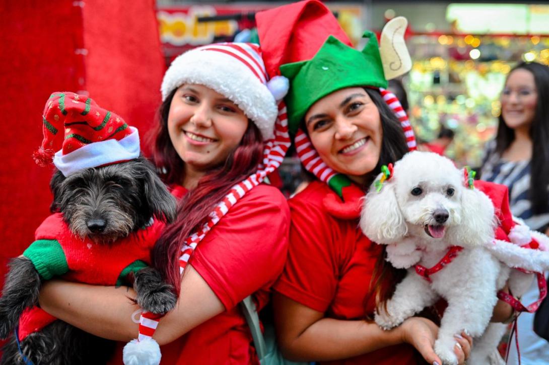 Adopción de animales 