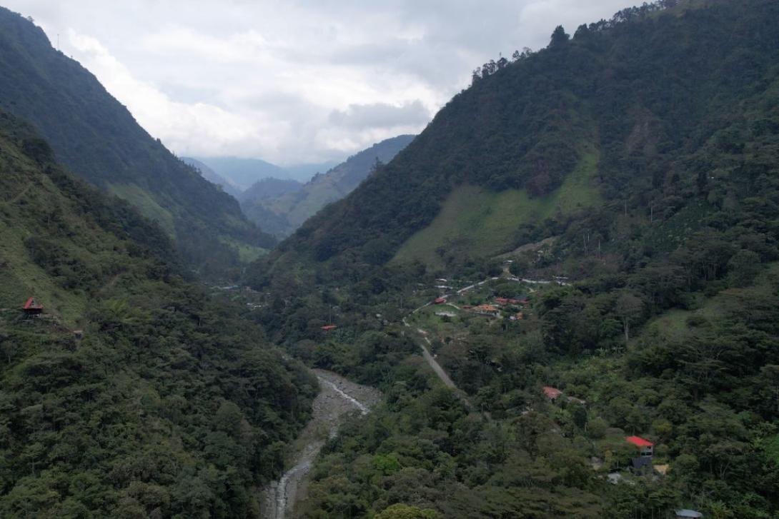 Proyecto de cuidado del medio ambiente.