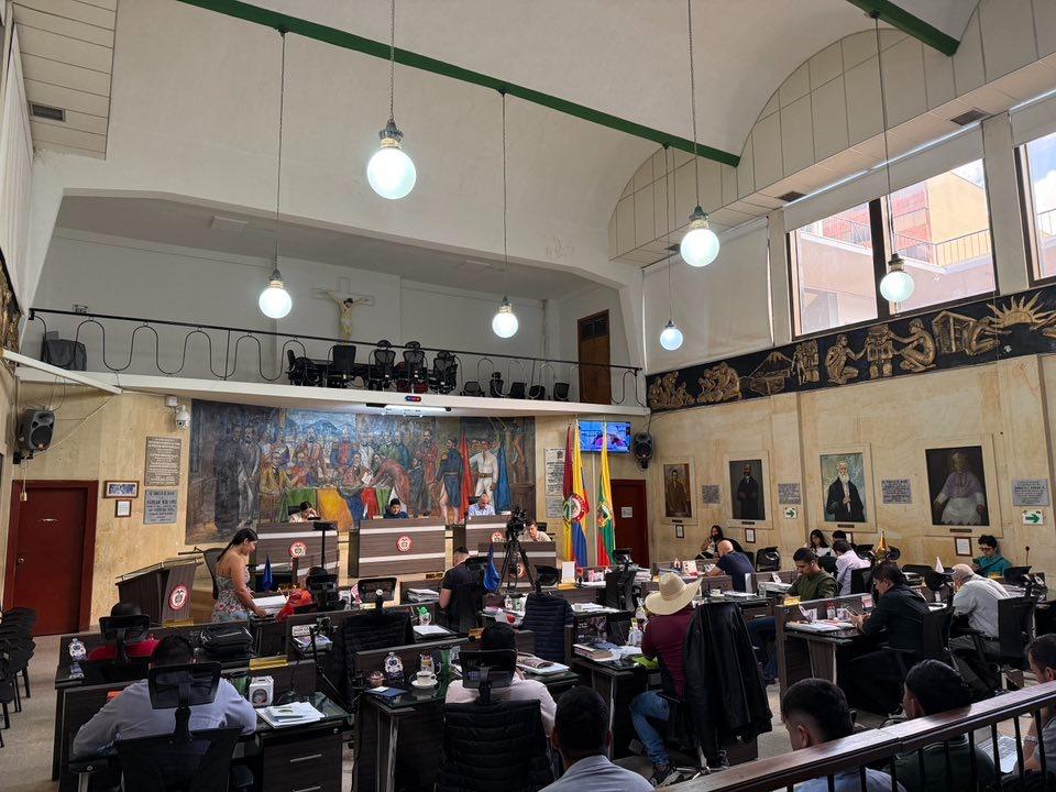 concejo municipal de Ibagué. 