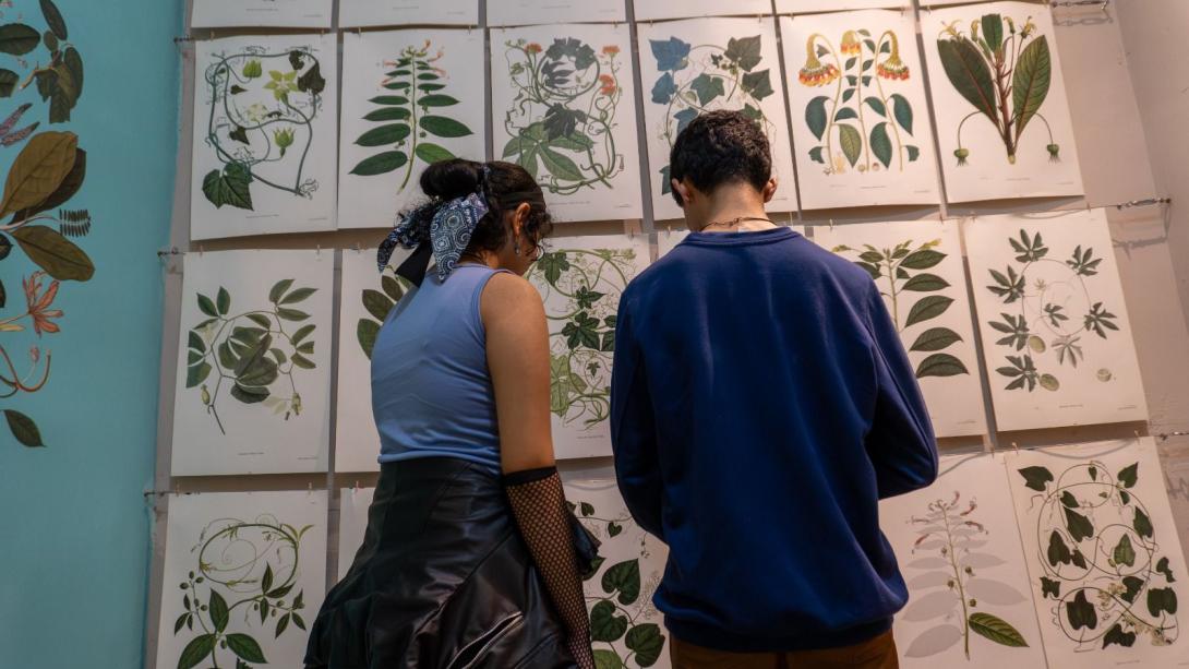 museo panóptico de Ibagué.