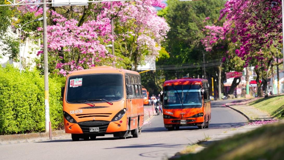 tarifa de buses en Ibagué. 