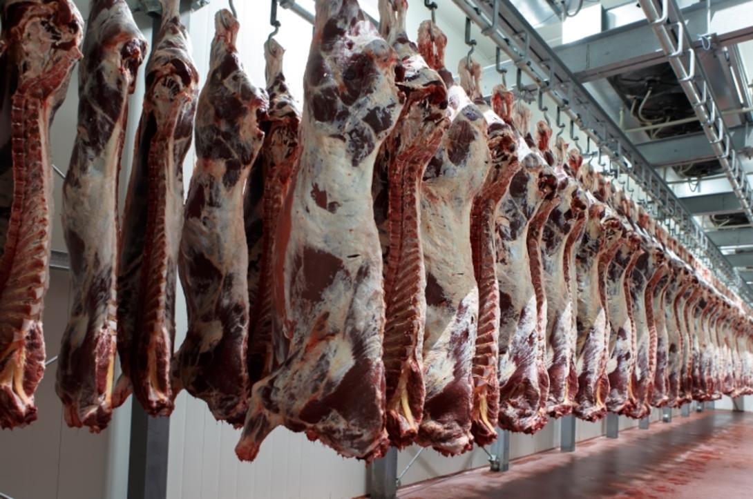 Del total de 3,2 millones de cabezas sacrificadas en 2025, cerca de 90 mil tuvieron destino de exportación, equivalente al 2,8 % del total.