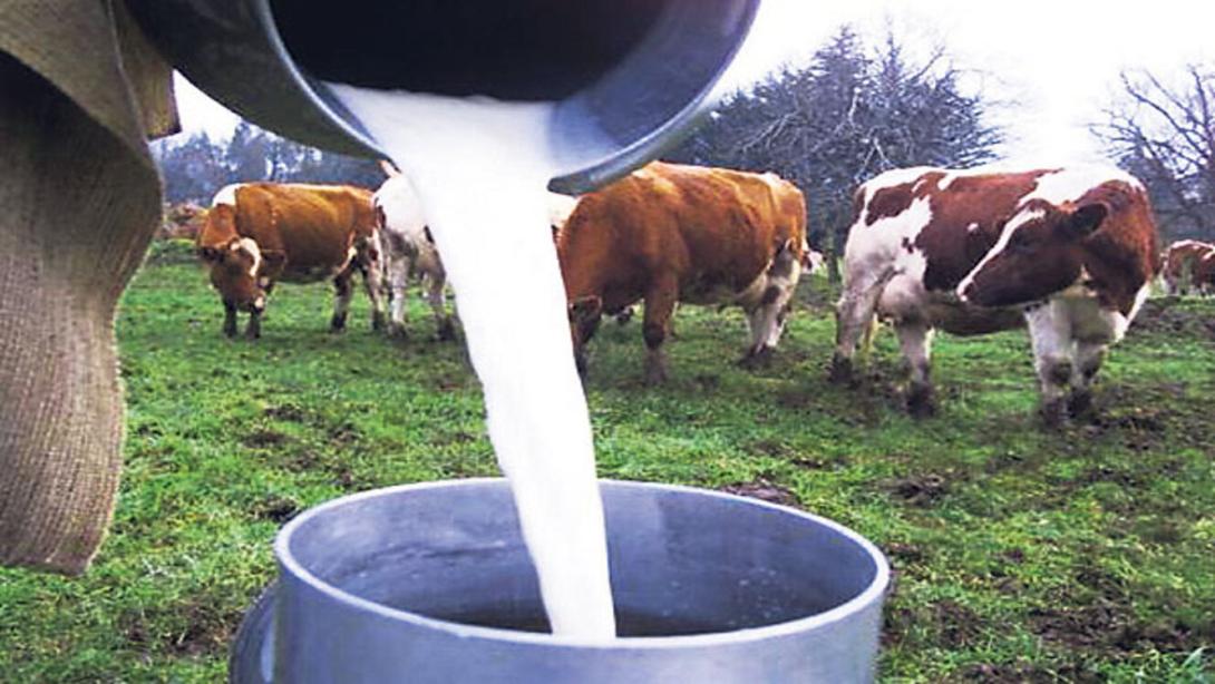 Gestión parlamentaria permitió mejorar las exportaciones de leche y papa de Colombia