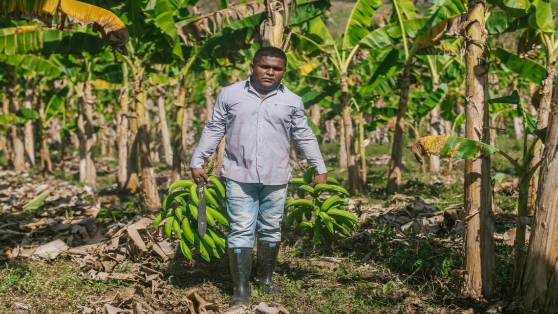 La medida cobija las operaciones registradas en Finagro hasta el 1 de febrero de 2026, tramitadas a través del Banco Agrario y demás intermediarios financieros y aplica para los departamentos de Córdoba, Sucre y Antioquia.