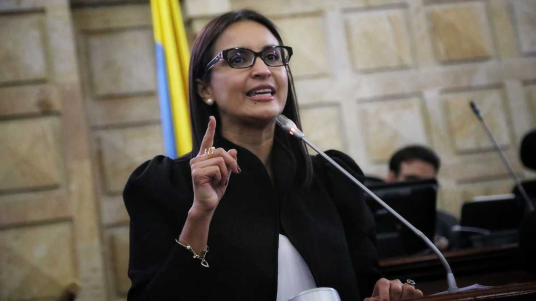 María Fernanda Rangel, procuradora  delegada para la Defensa de los derechos de la Infancia, la adolescencia, Familia y Mujer.