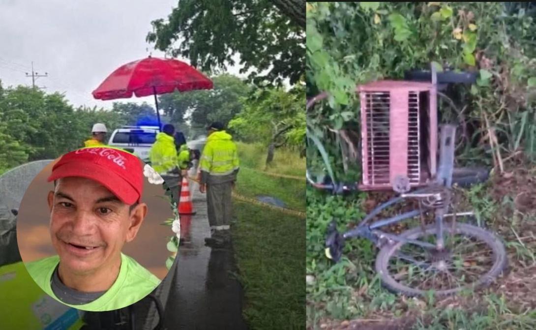 Atropellado Mariquita