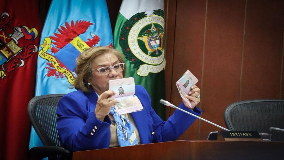 Rosa Villavicencio, Canciller.