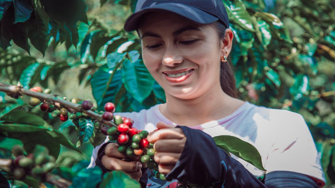 Las mujeres son las protagonistas de los créditos de emprendimiento por parte de Fincomercio en el Tolima