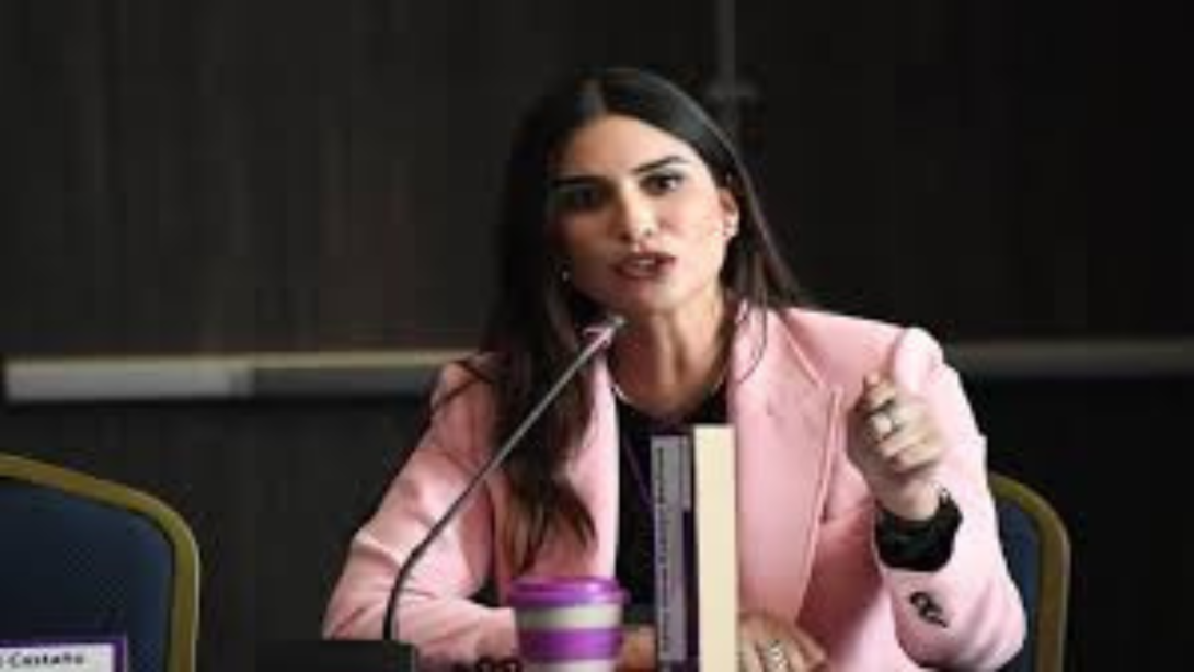 Saray Robayo, representante a la Cámara