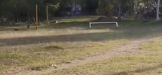 Denuncian abandono de escenarios deportivos en Portales del Norte y comunidad pide intervención urgente del IMDRI