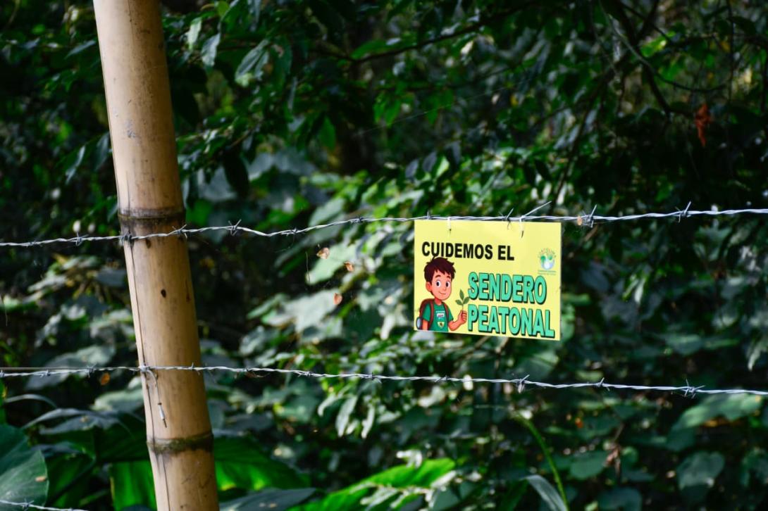 cortolima