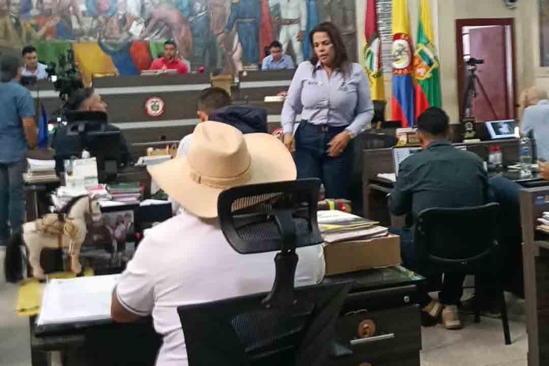 Concejo Ibagué