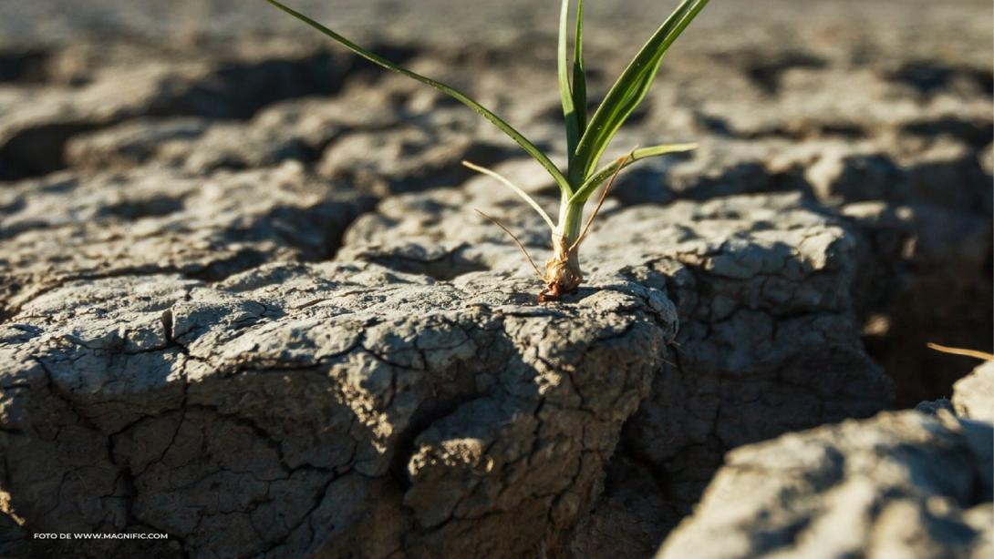 El Fenómeno de El Niño afectará con sequías a varias regiones del país.