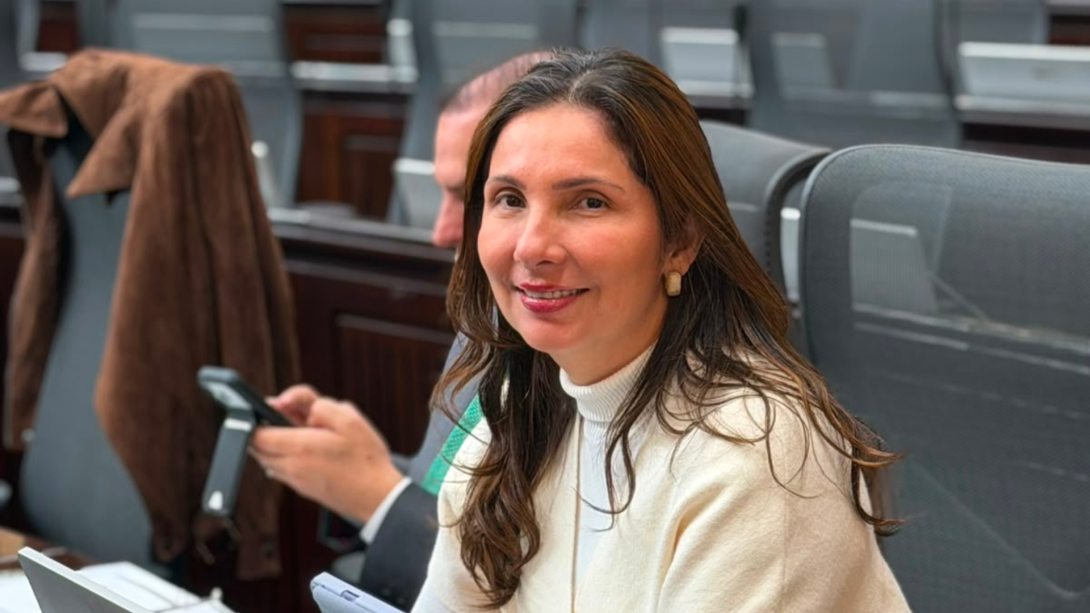 MIlene Jarava, representante a la Cámara.