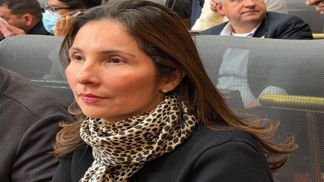 Milene Jarava, repesetante a la Cámara.