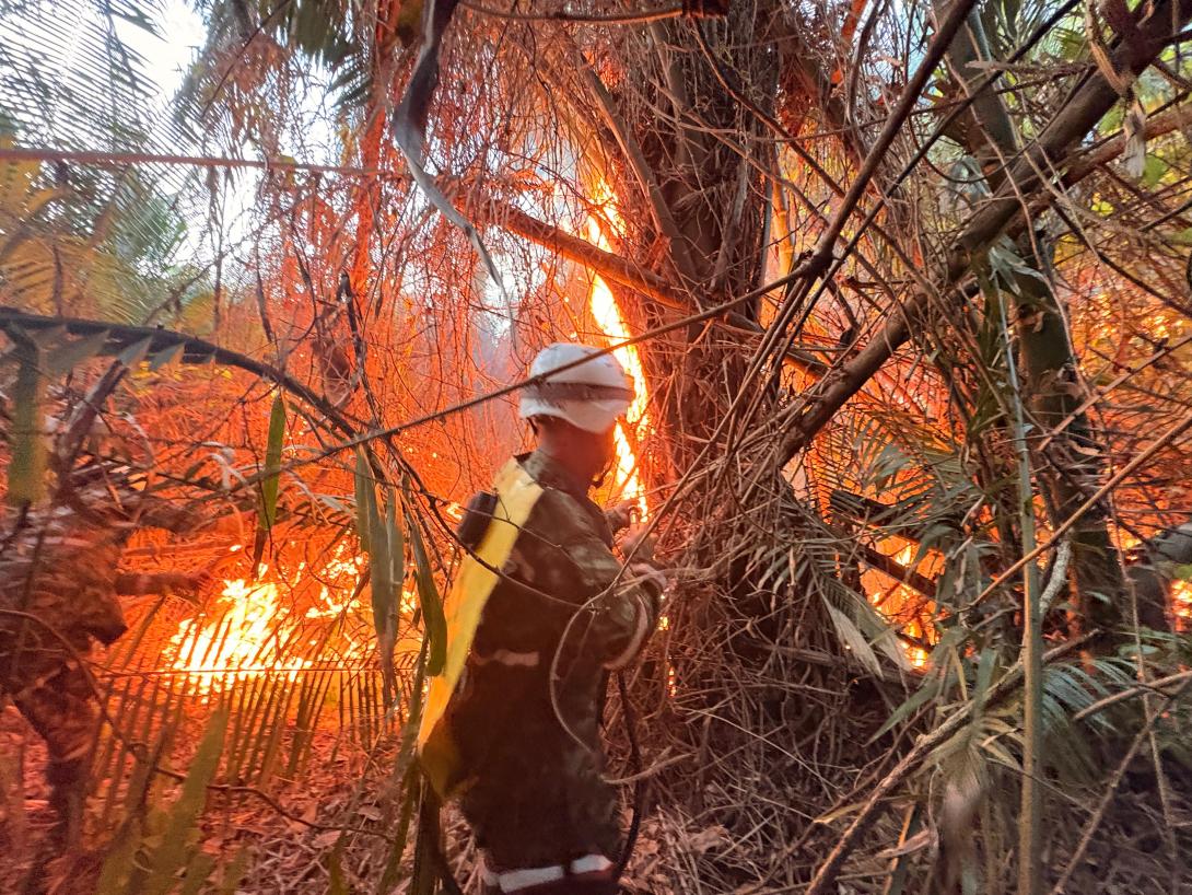 Incendio