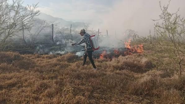 Ortega Incendios