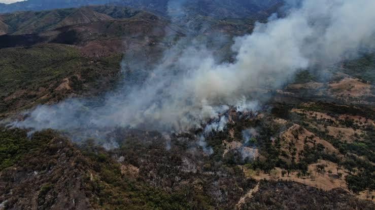 Incendios San Luis