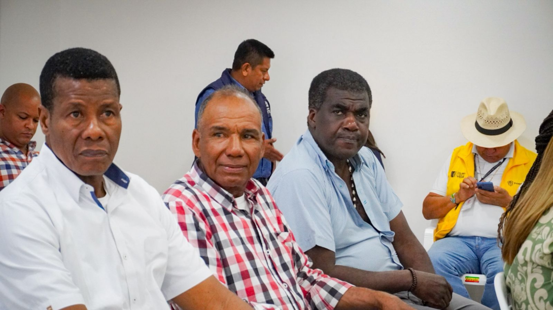 Consultivas Afro