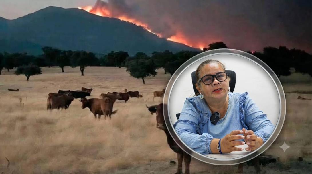 Afectaciones en animales silvestres por incendios 