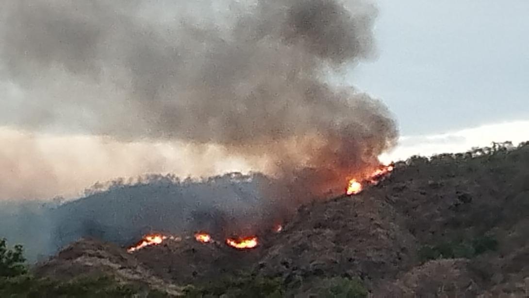 Incendios 