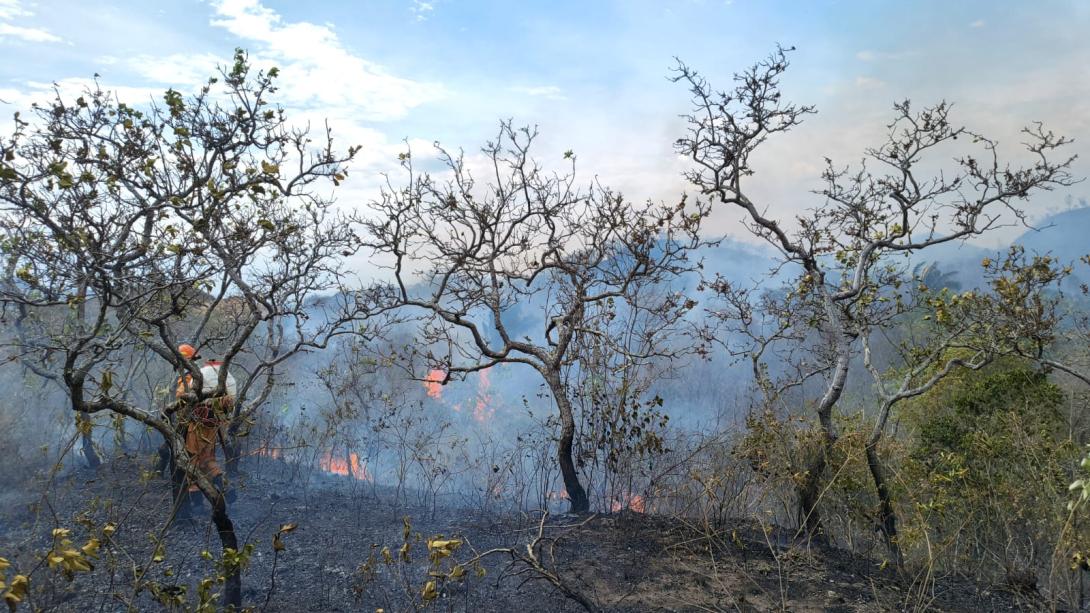 Incendios 