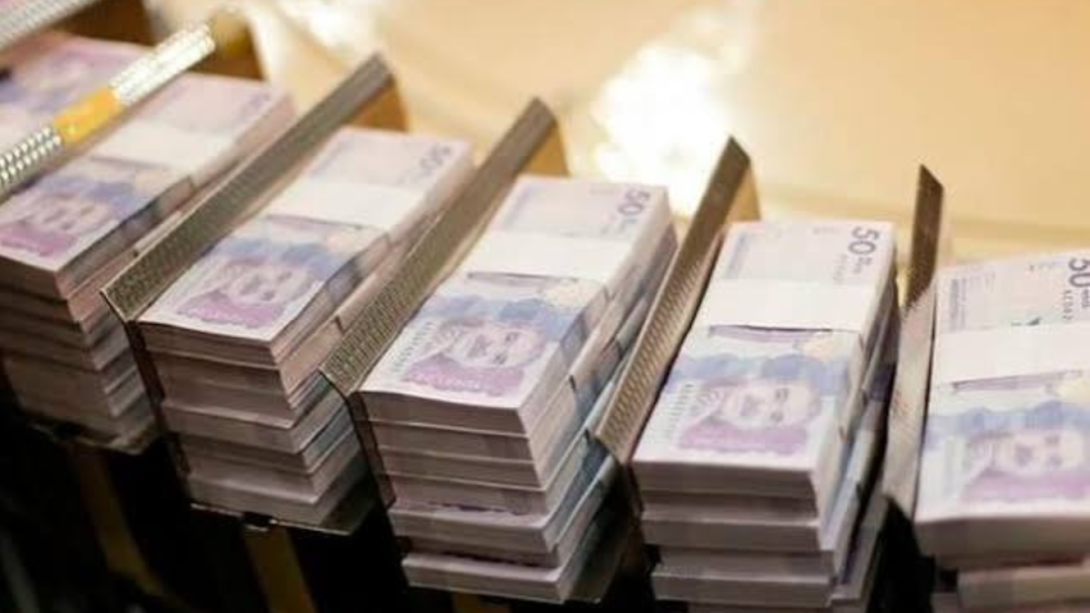 Siete entidades concentran la mitad del recorte excluyendo el rubro de deuda, encabezadas por el Instituto Nacional de Vías (Invías), la Aeronáutica Civil (Aerocivil), la Registraduría Nacional del Estado Civil y la Rama Judicial. 