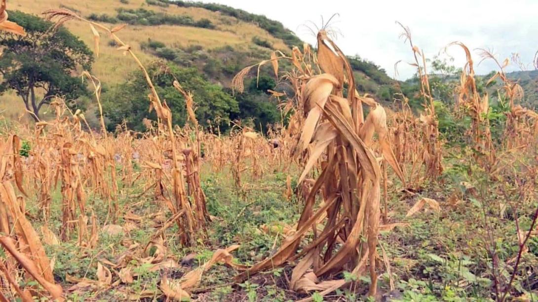 Cambio Climático 