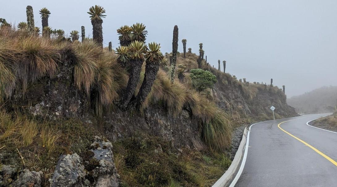 Vía Murillo - Manizales 