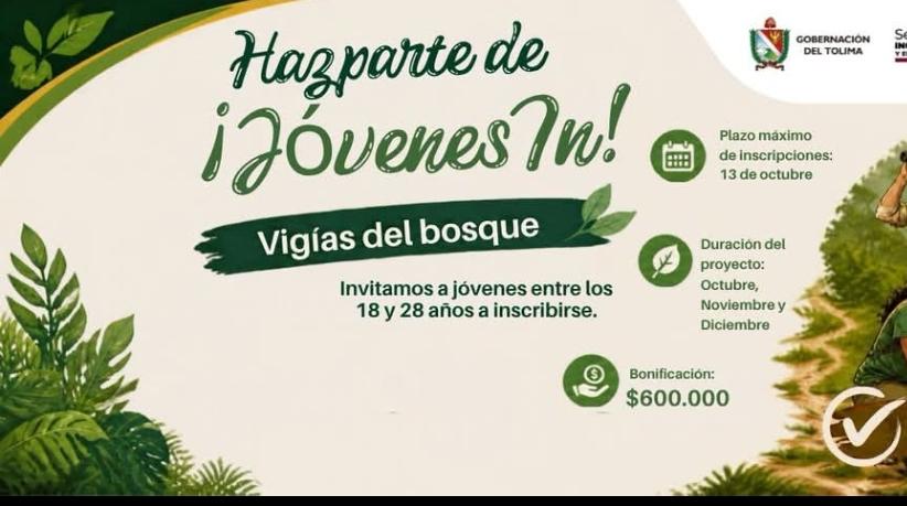 Jóvenes In